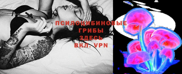 тгк Магадан