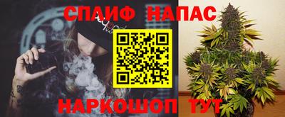 Альфа ПВП Гатчина