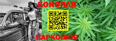 Альфа ПВП Гатчина