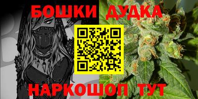 Альфа ПВП Гатчина
