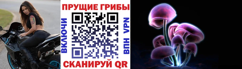 Псилоцибиновые грибы прущие грибы  Новороссийск 