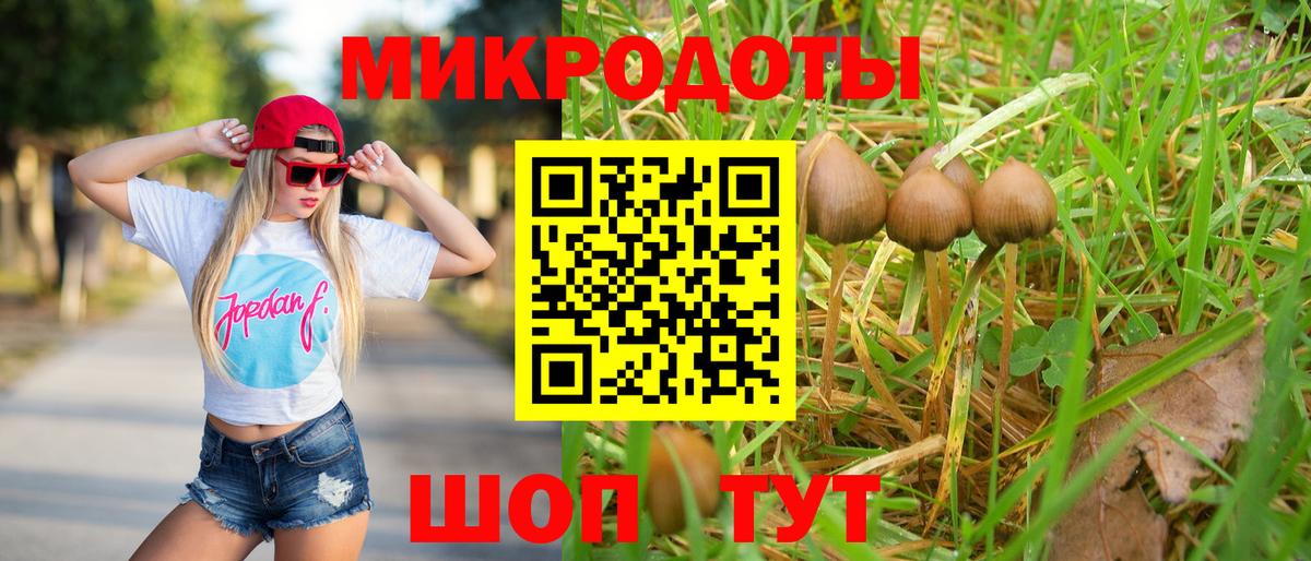 Новороссийск  Галлюциногенные грибы MAGIC MUSHROOMS  Вход с VPN 