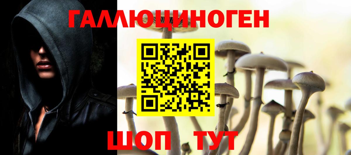 Псилоцибиновые грибы GOLDEN TEACHER Новороссийск