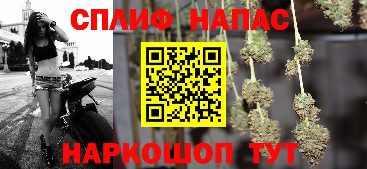 Конопля конопля Новороссийск